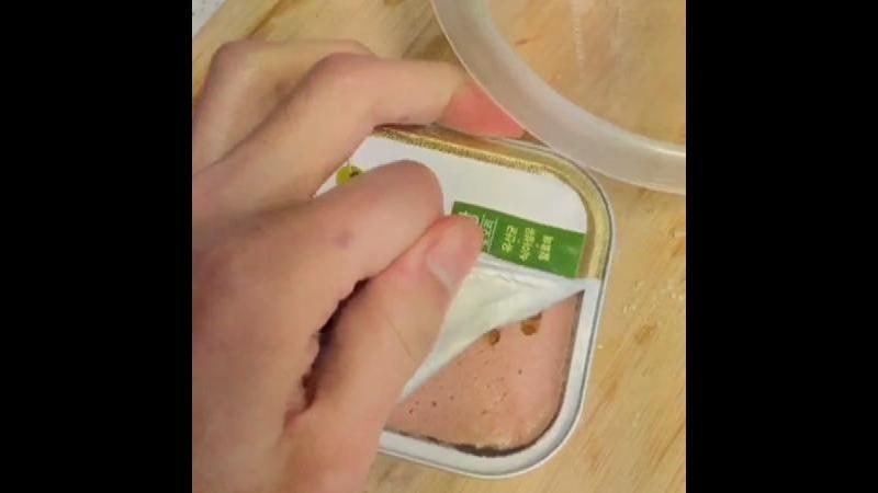 SHINee Key's Instagram: Making Nutritious Dog Food with Dr. Dog Kibble and Wet Cans