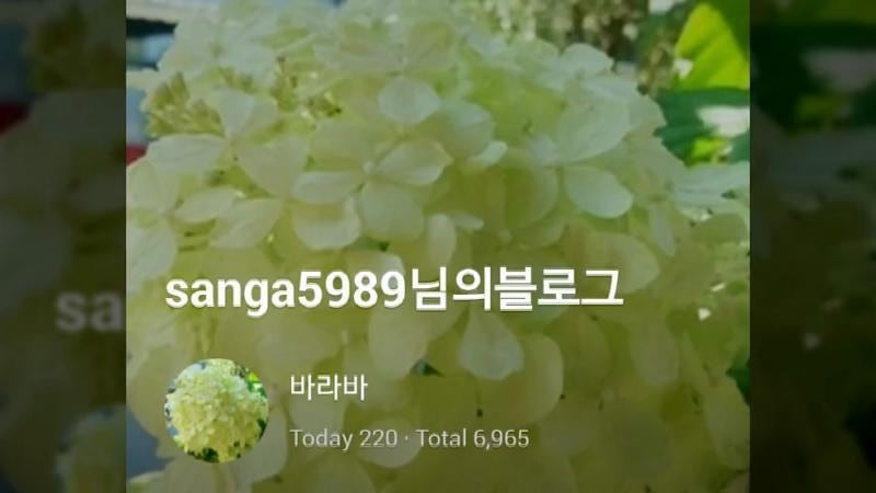 ♥유진표노래/듣기/가사/노래방/MR/미기천년지기
