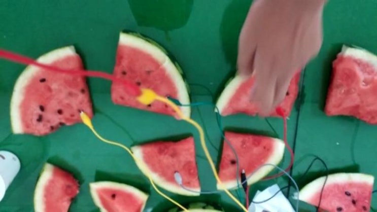  Makey Makey를 이용하여 수박으로 피아노 치기