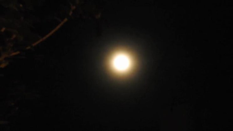  니콘 - COOLPIX P900S 영상