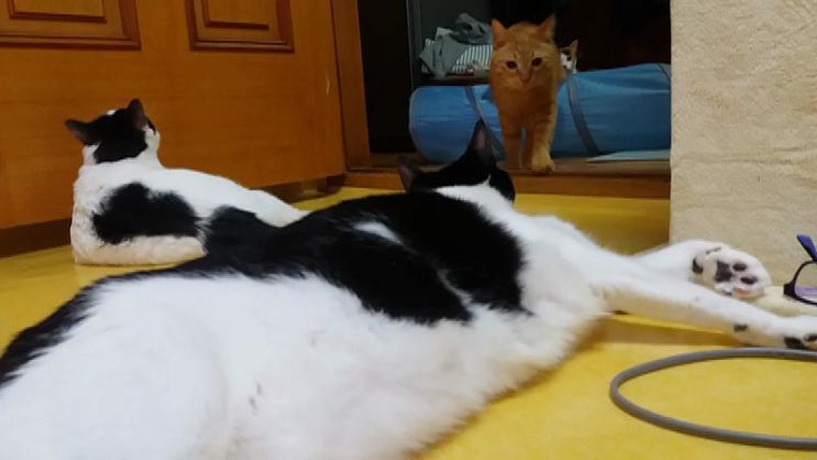 잘 놀아여