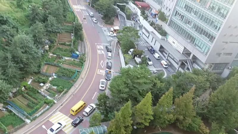 비둘기실외기 에어컨실외기비둘기 다이소비둘기 비둘기퇴치법 베란다비둘기 버드스파이크 ....