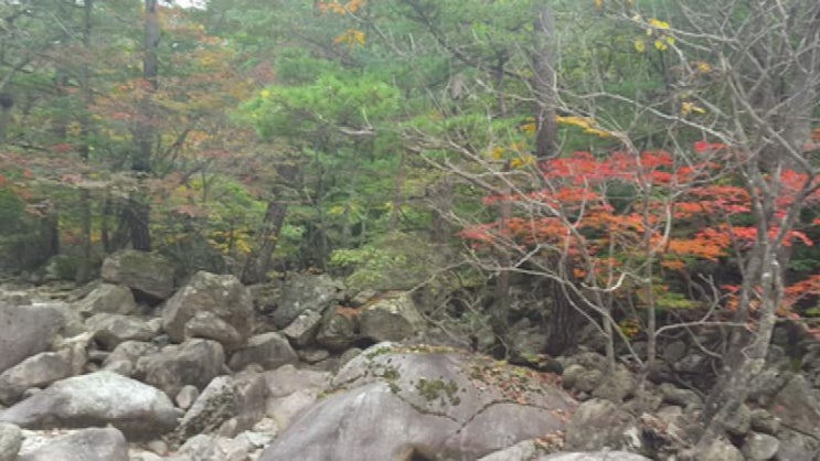  가을