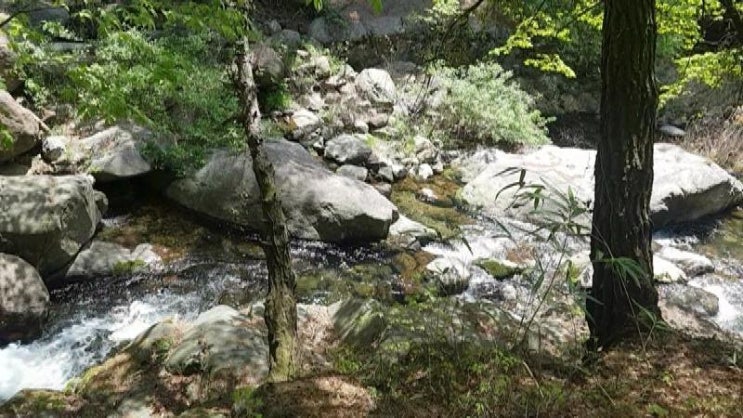  지리산 여행 -  전남구례