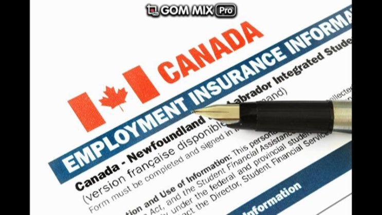 EI benefit 신청 : 네이버 블로그