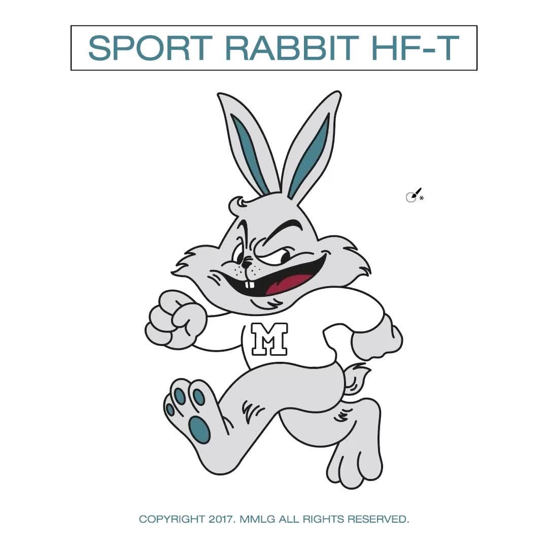 뜨거운 관심의 주인공, Mmlg 스포츠 래빗 / Sport Rabbit HF-T : 네이버 포스트