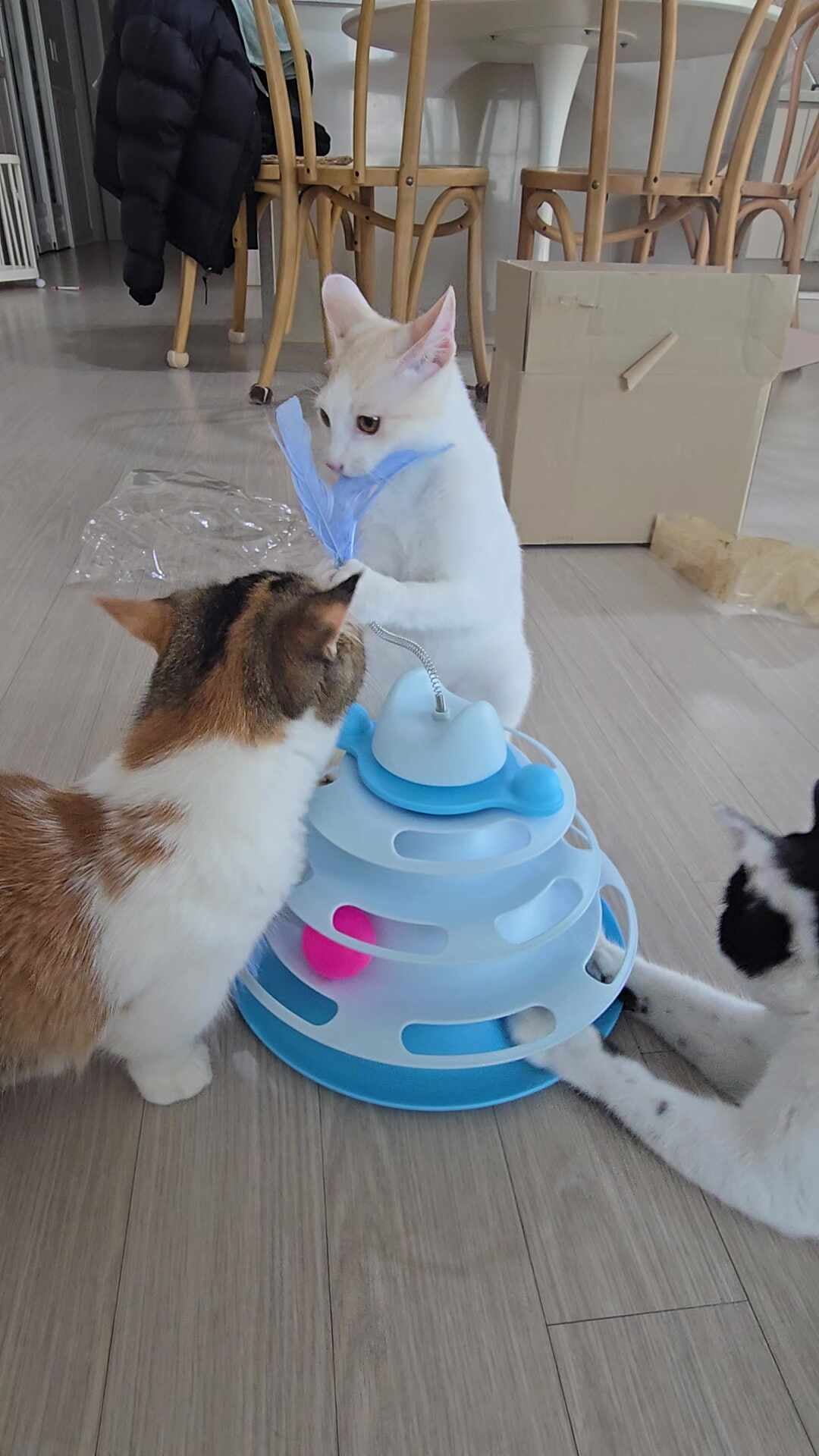 리뷰 이미지