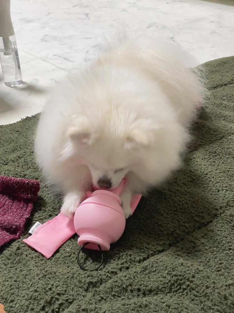 리뷰 이미지