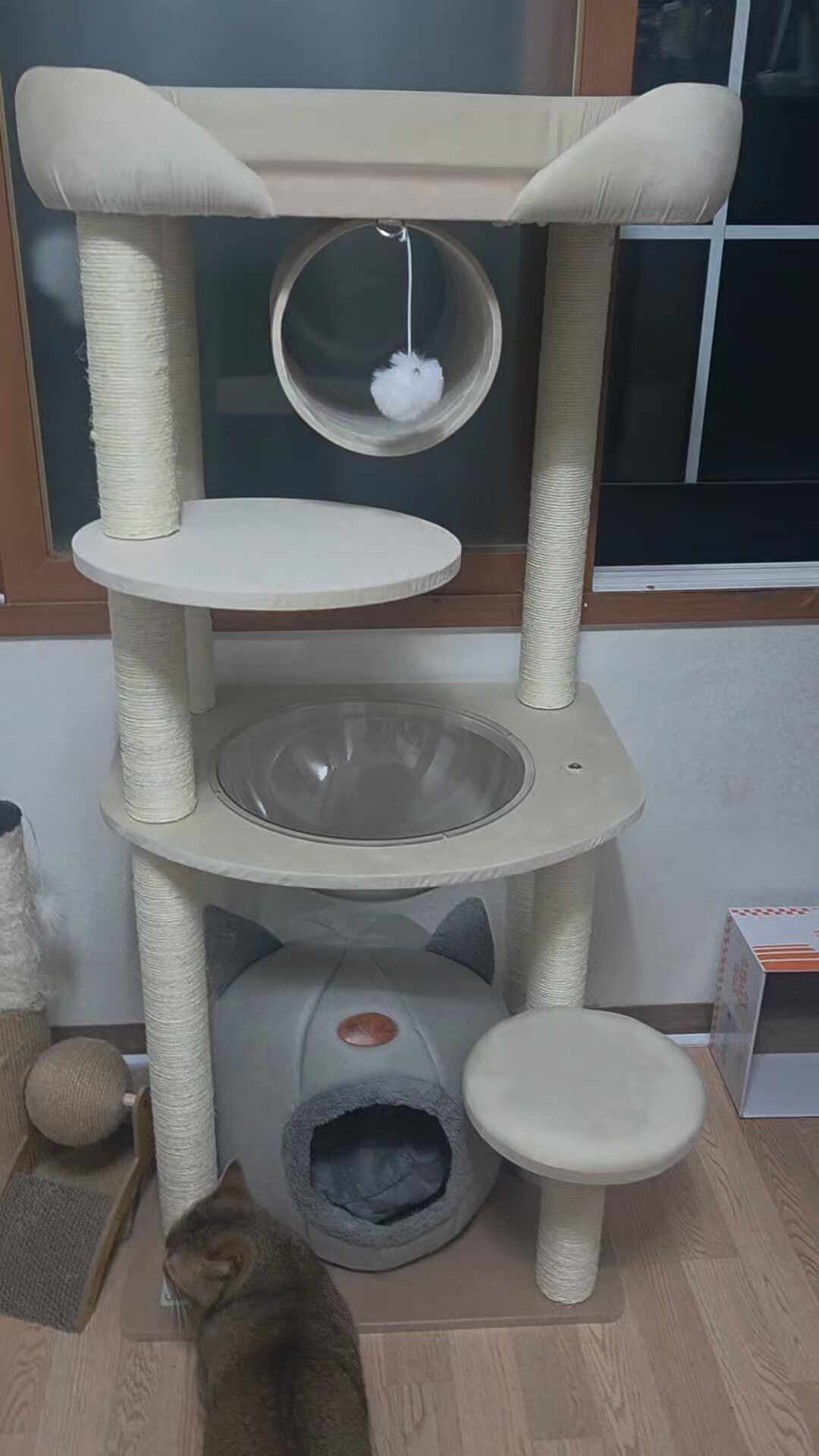 리뷰 이미지