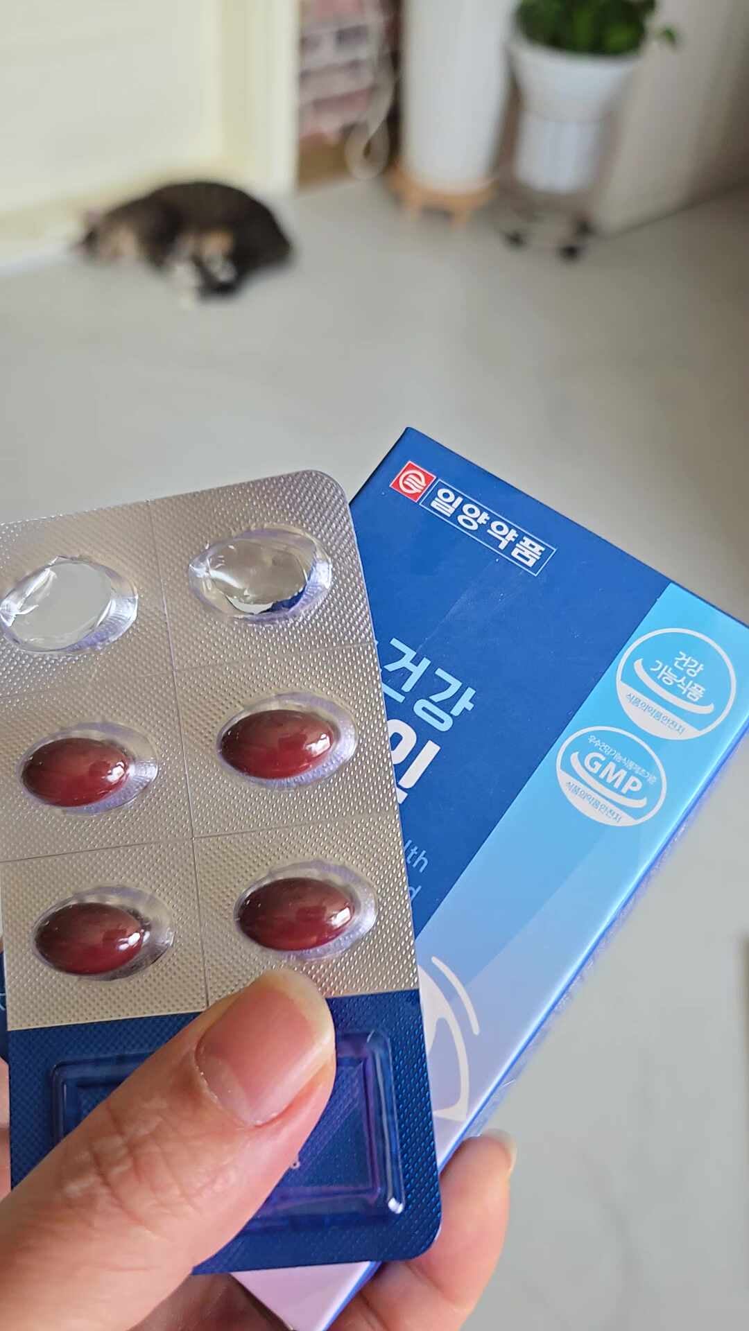 리뷰 이미지