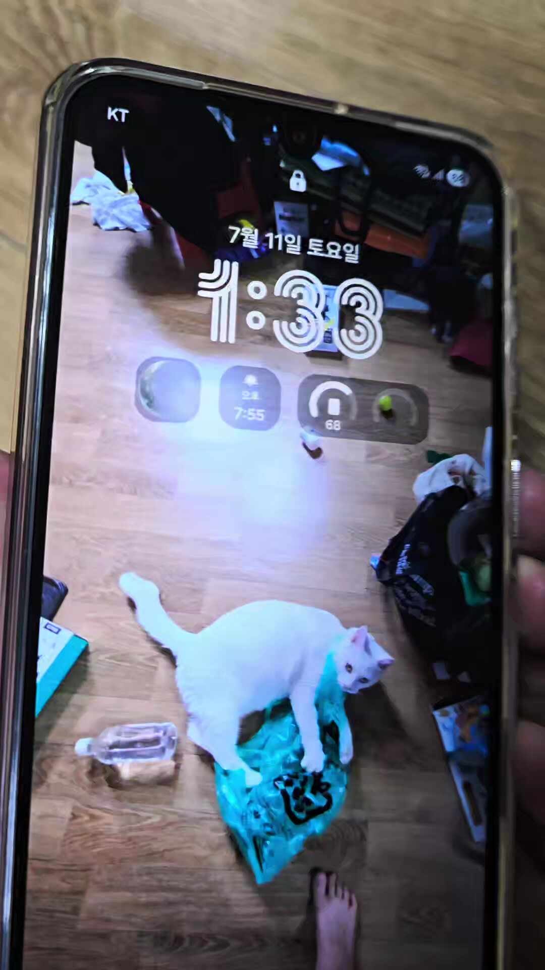 리뷰 이미지