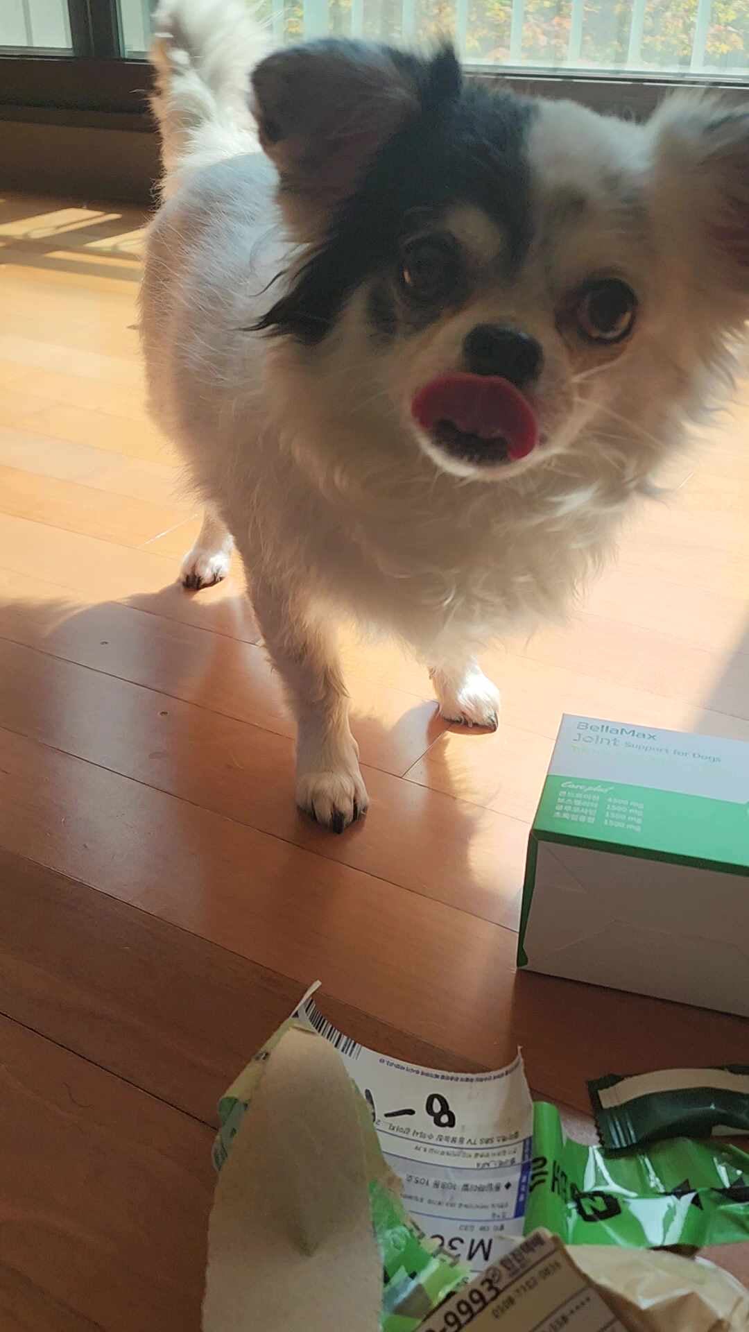 리뷰 이미지