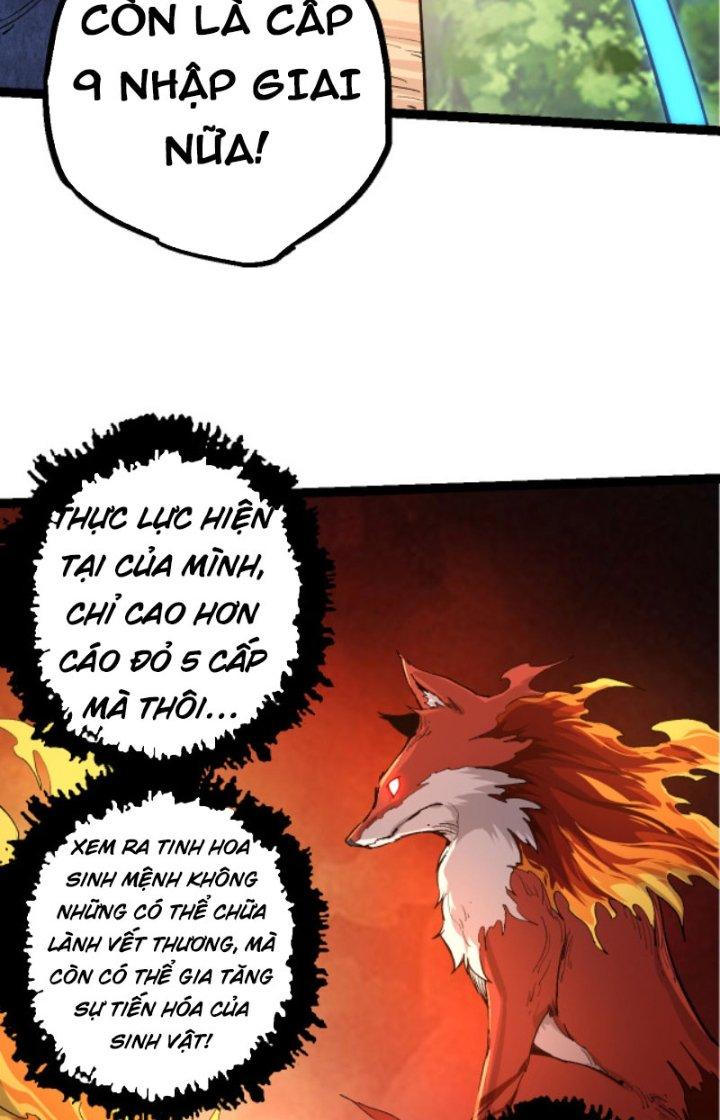 Từ Cây Cổ Thụ Bắt Đầu Tiến Hóa - Page 34