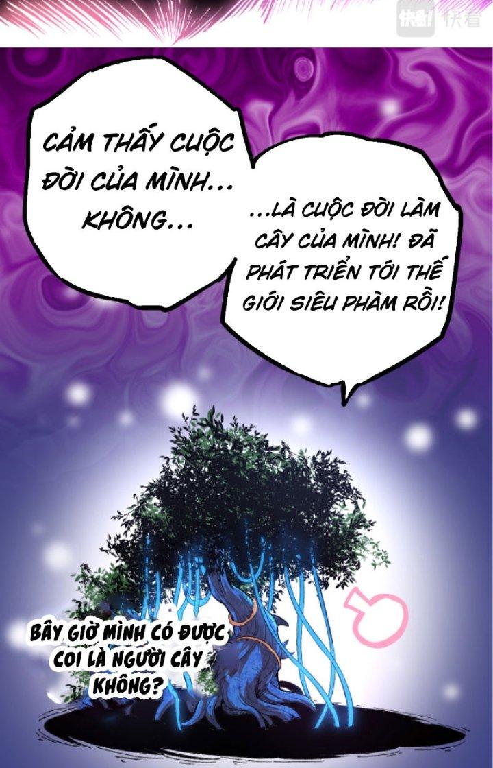 Từ Cây Cổ Thụ Bắt Đầu Tiến Hóa - Page 37