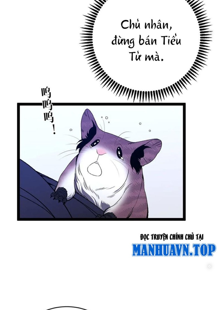 Thiên Phú Của Ngươi, Giờ Là Của Ta - Page 27
