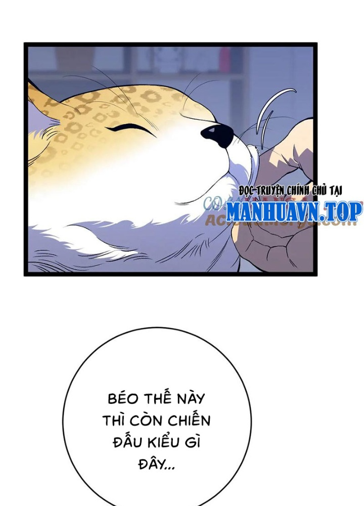 Thiên Phú Của Ngươi, Giờ Là Của Ta - Page 111