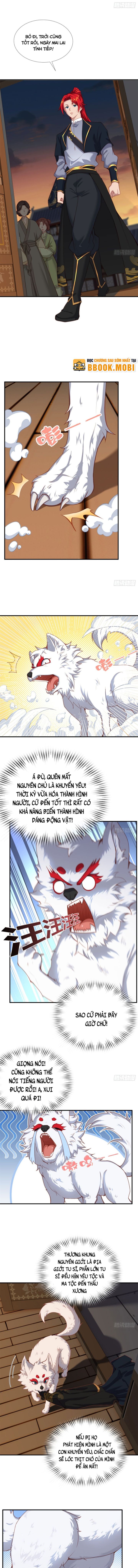 Xuyên Không Thành Npc, Ta Có Bà Xã Che Chở! - Page 5