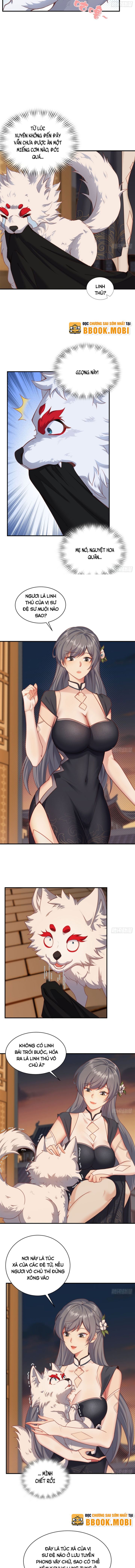 Xuyên Không Thành Npc, Ta Có Bà Xã Che Chở! - Page 6