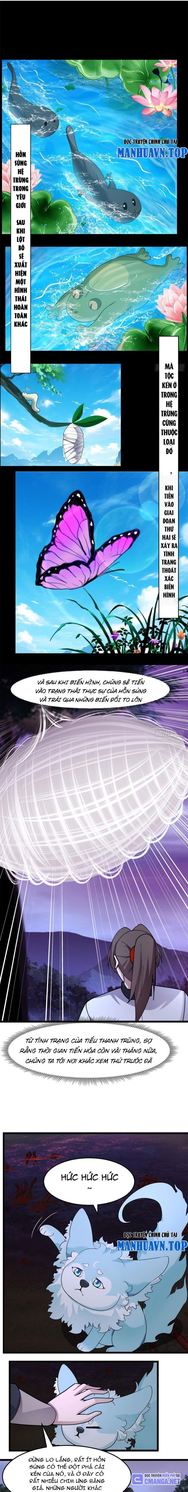 Tân Sủng Mị - Page 1