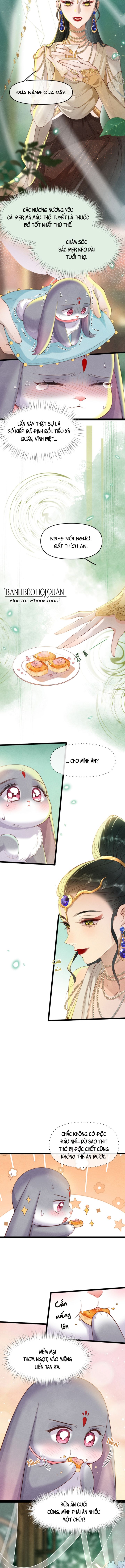 Nhật Ký Tìm Đường Sống Của Cống Phẩm - Page 5