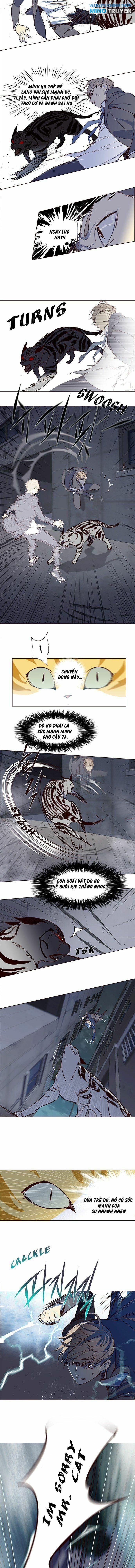 Hóa Thân Thành Mèo