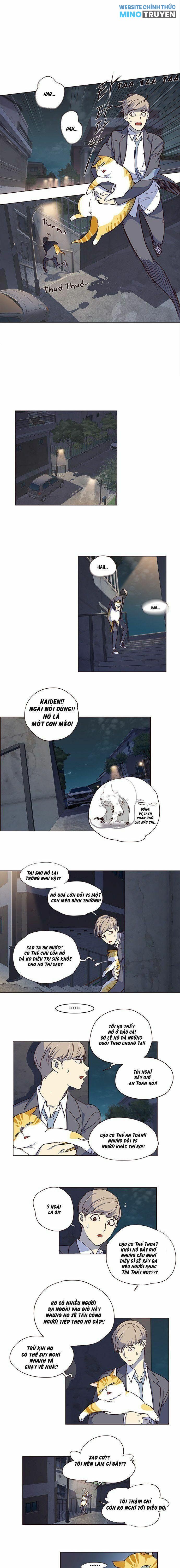 Hóa Thân Thành Mèo
