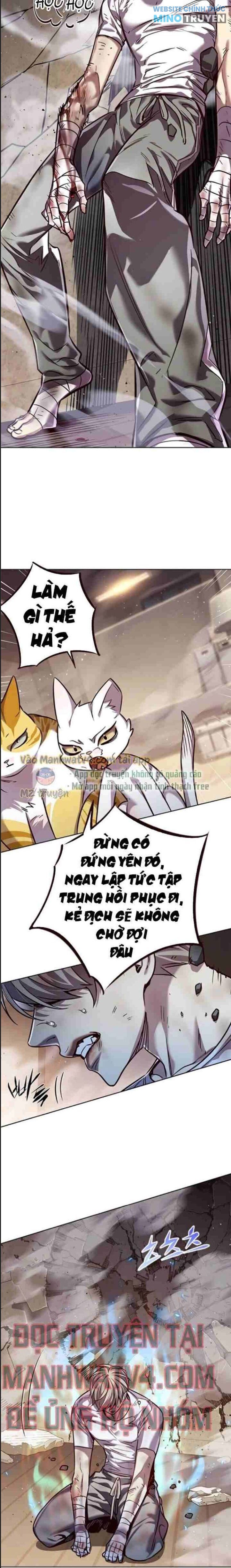 Hóa Thân Thành Mèo - Page 14