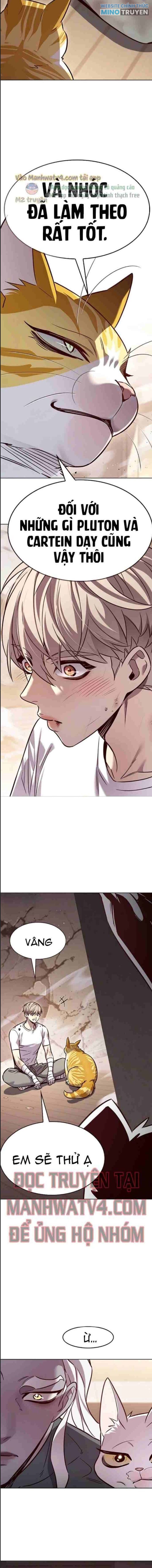 Hóa Thân Thành Mèo - Page 19