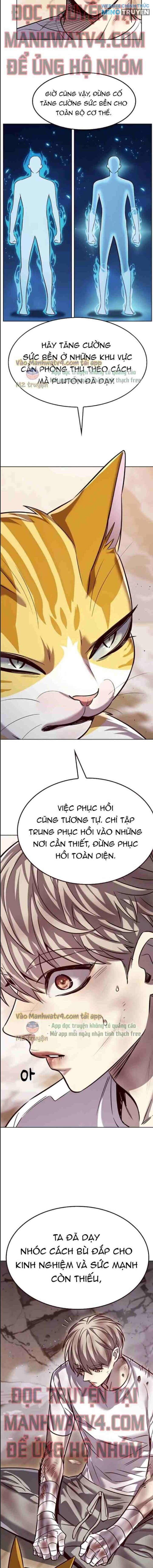 Hóa Thân Thành Mèo - Page 18