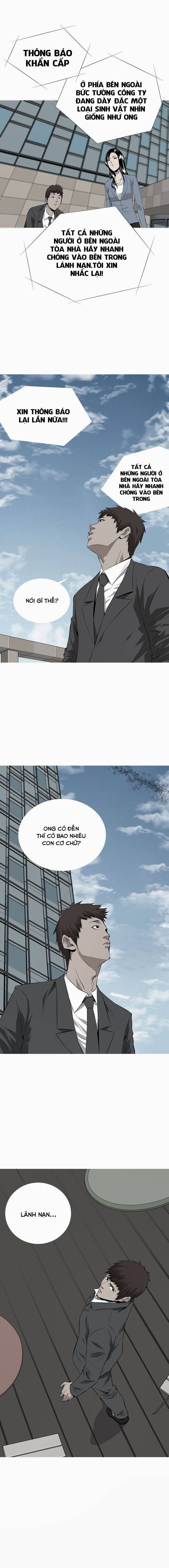 Thảm Họa Ong Độc