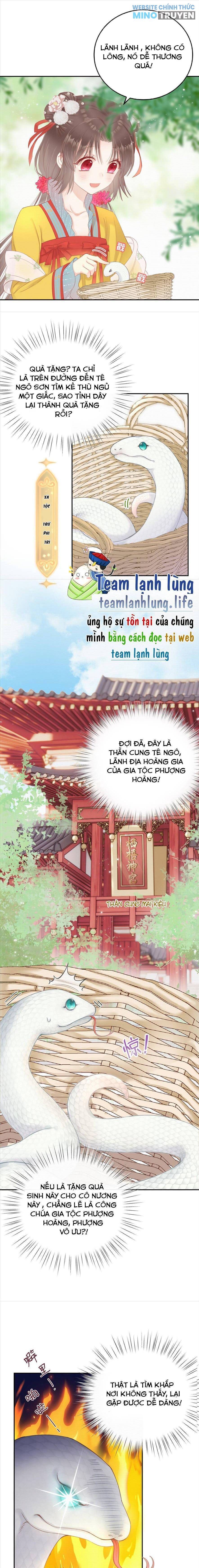 Rắn Cưng Nhà Tôi Lại Đang Diễn Trò Với Tôi - Page 14