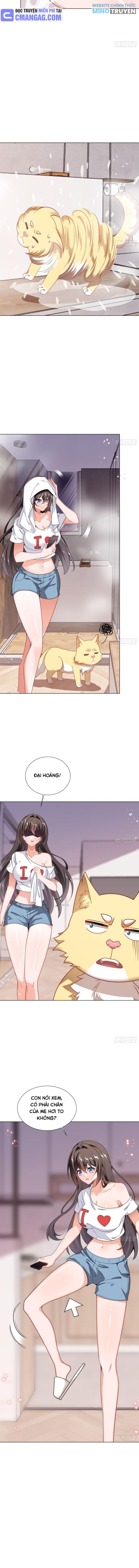 Kế Hoạch Nuôi Dưỡng Streamer Của Cẩu Hoàng - Page 4