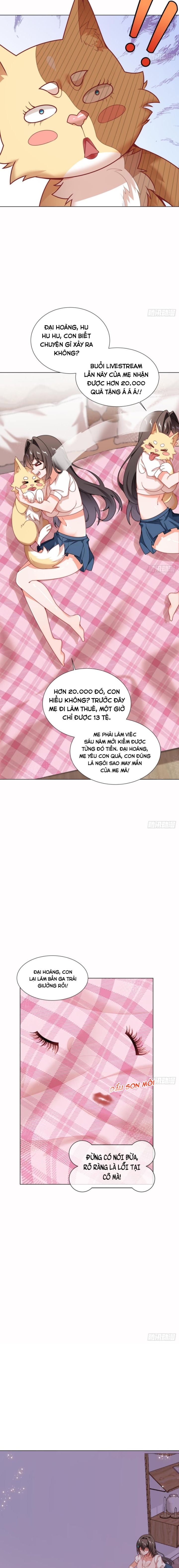 Kế Hoạch Nuôi Dưỡng Streamer Của Cẩu Hoàng - Page 2