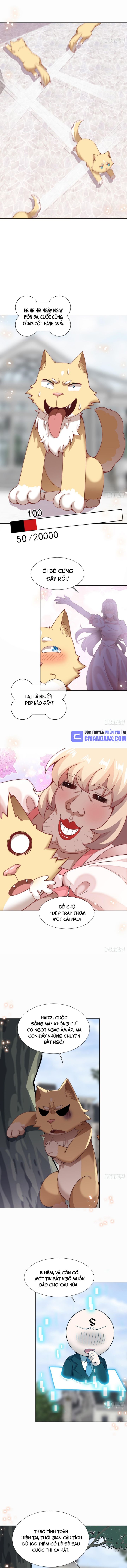 Kế Hoạch Nuôi Dưỡng Streamer Của Cẩu Hoàng