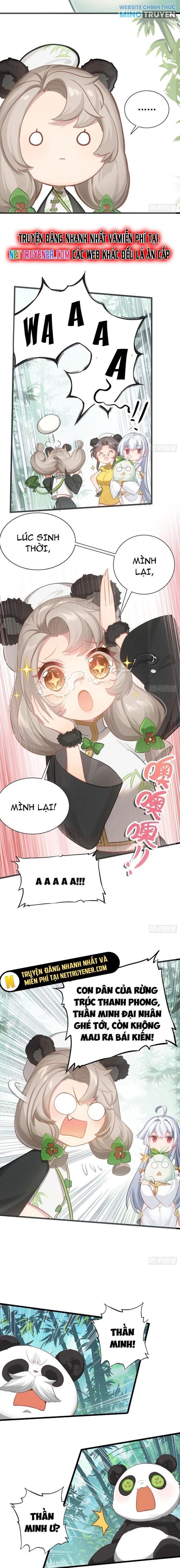 Đừng Xem Thường Một Củ Cải - Page 12