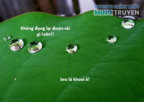Hổ Đến Chơi Nhà (Puchimasu Miếu) - Page 22