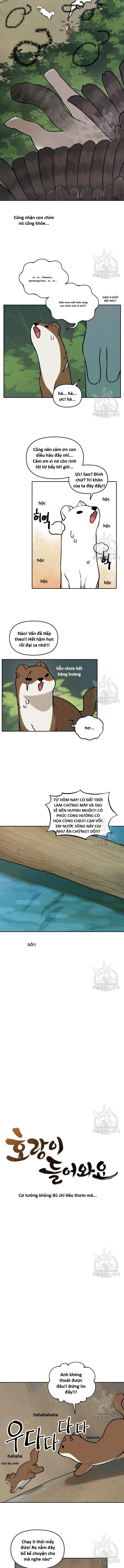 Hổ Đến Chơi Nhà (Puchimasu Miếu) - Page 5