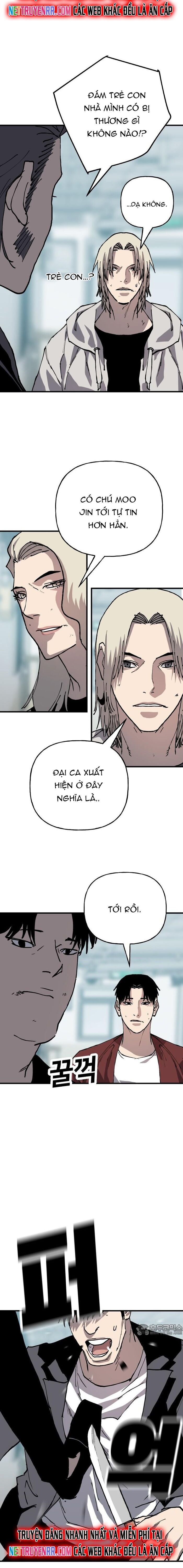 Ông Trùm Trở Lại