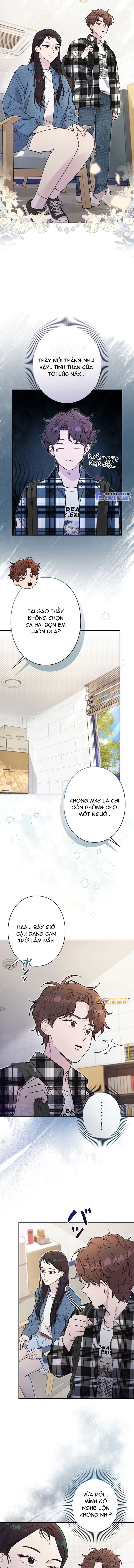 Sự Tái Sinh Của Nhà Thiết Kế Tài Ba