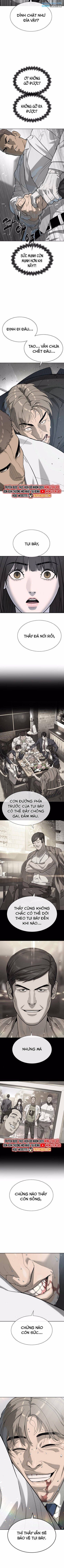 Sát Thủ Peter - Page 14