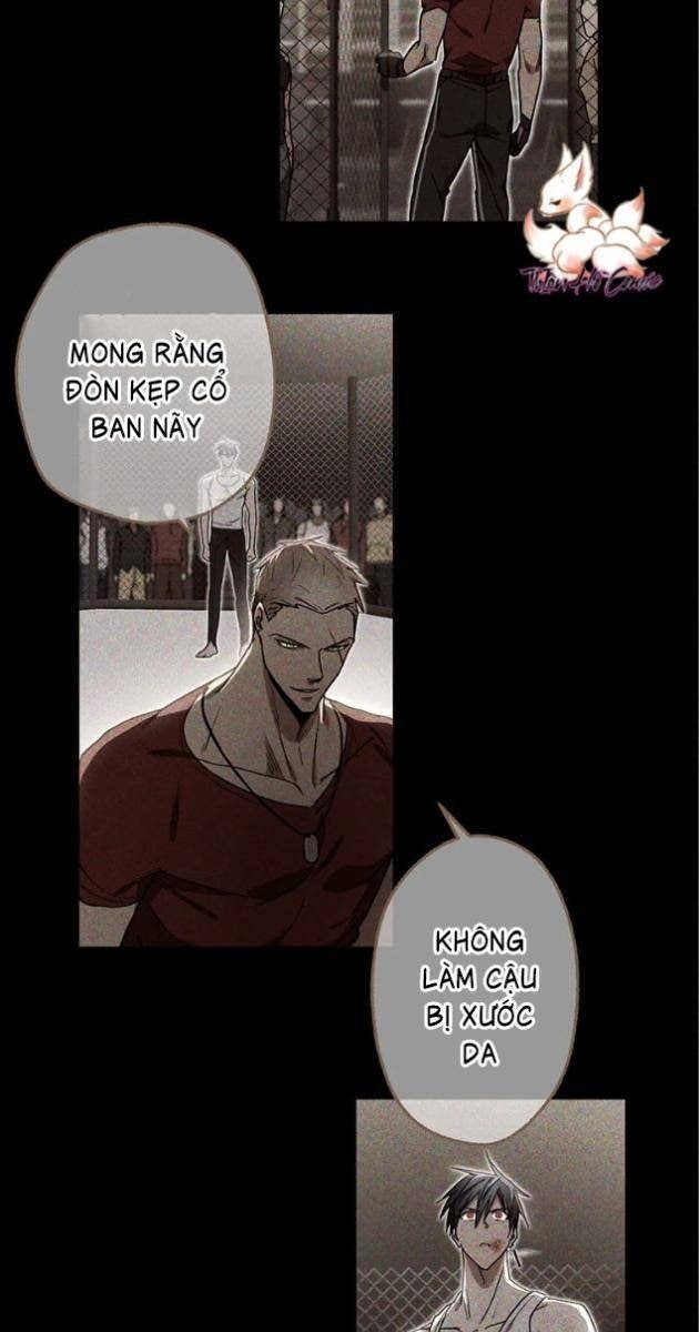 Quý Tộc Báo Thù - Page 28