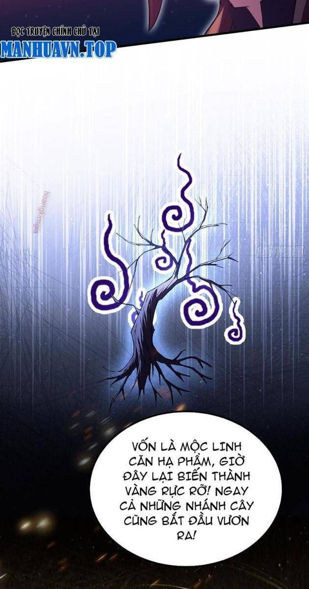 Hóa Ra Ta Sớm Đã Vô Địch - Page 33