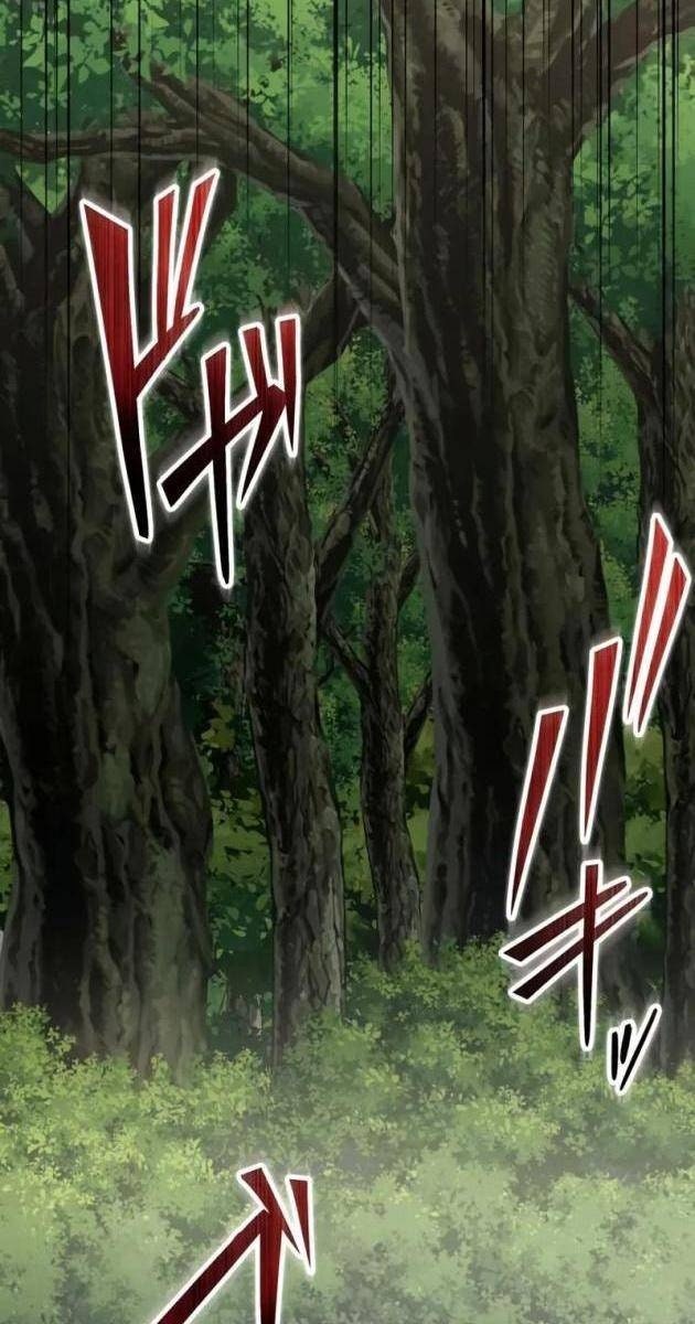Sự Trở Lại Của Kiếm Sĩ Bóng Đêm - Page 33