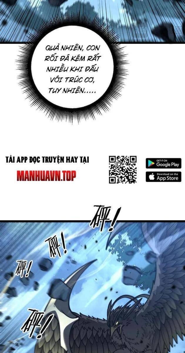 Lão Xà Tu Tiên - Page 11