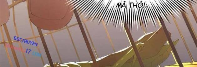 Chàng Rể Mạnh Nhất Lịch Sử - Page 38