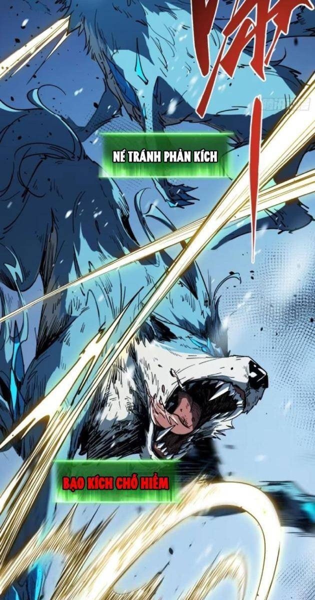 Toàn Chức Giác Tỉnh - Page 13
