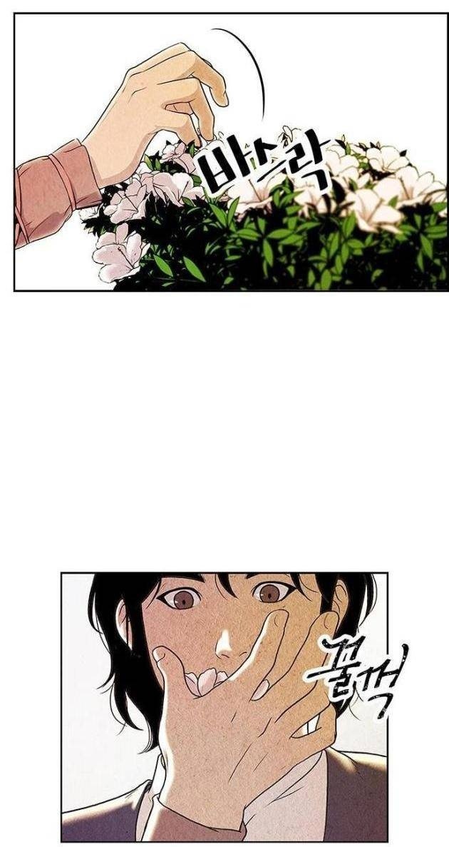 Cửa Hàng Đồ Cổ Tương Lai - Page 43