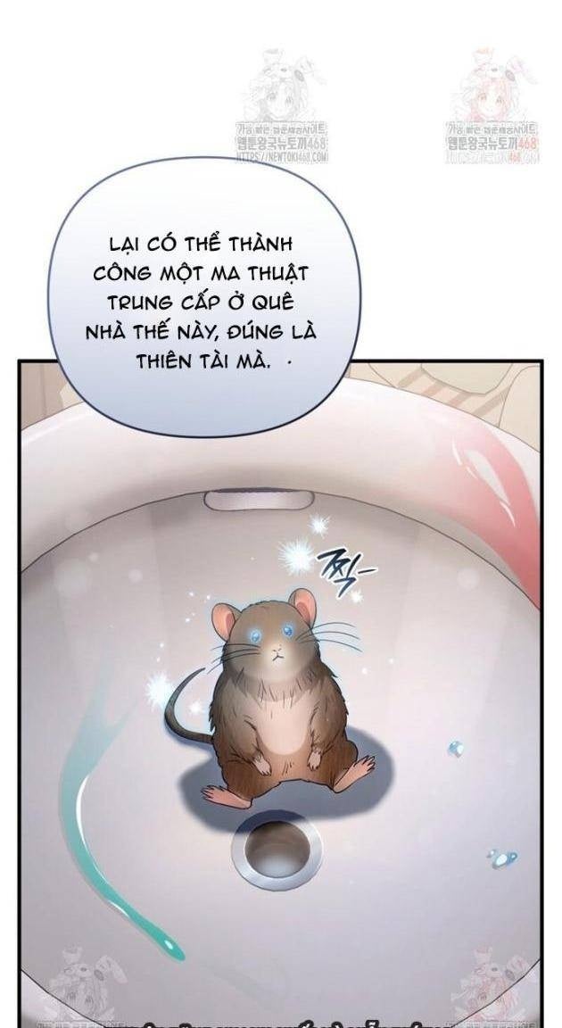 Huyễn Tượng Thợ Săn Tại Dị Giới - Page 7