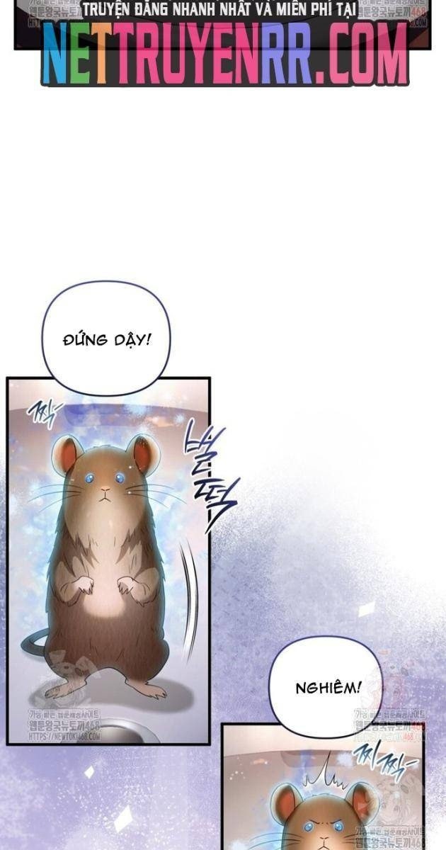 Huyễn Tượng Thợ Săn Tại Dị Giới - Page 8