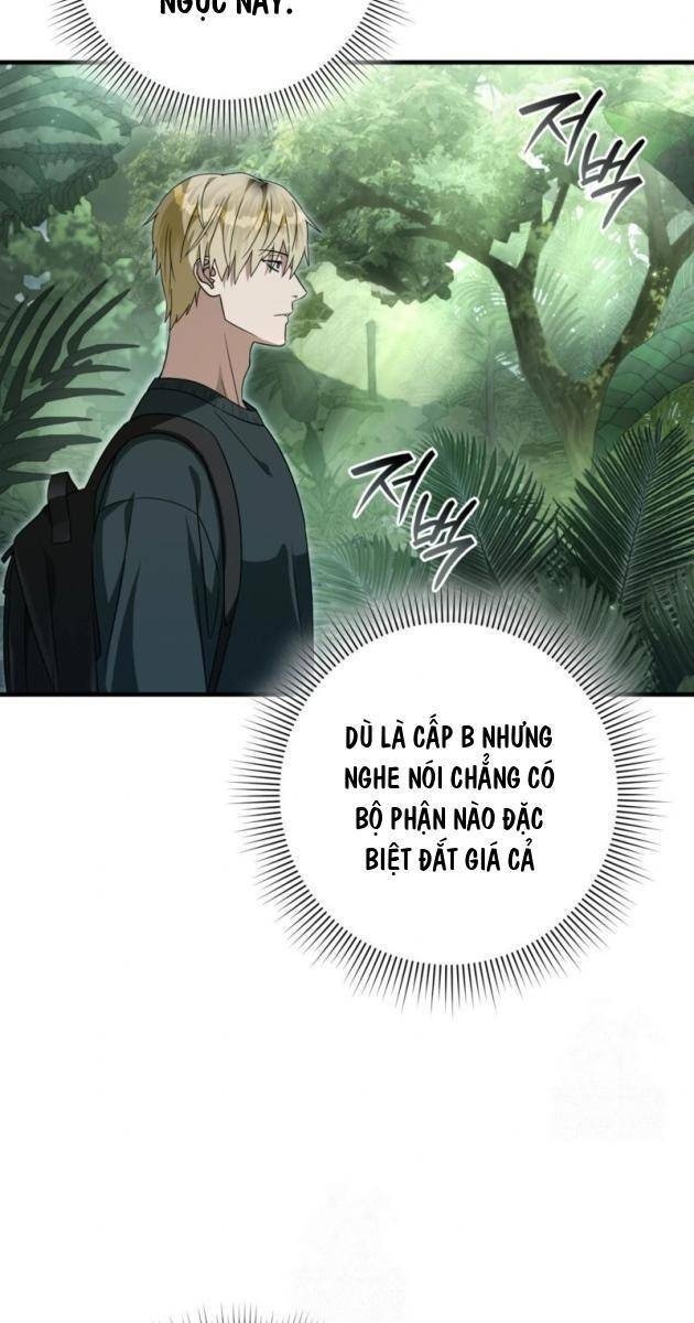 Huyễn Tượng Thợ Săn Tại Dị Giới - Page 15